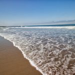 San Buenaventura State Beach